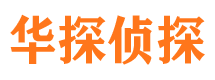 廛河市私家侦探